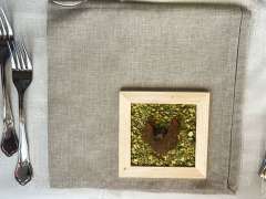 260801_accademiadelleerbe